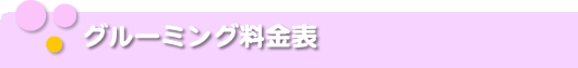 グルーミング料金表